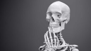 Anatomy & Physiology Background