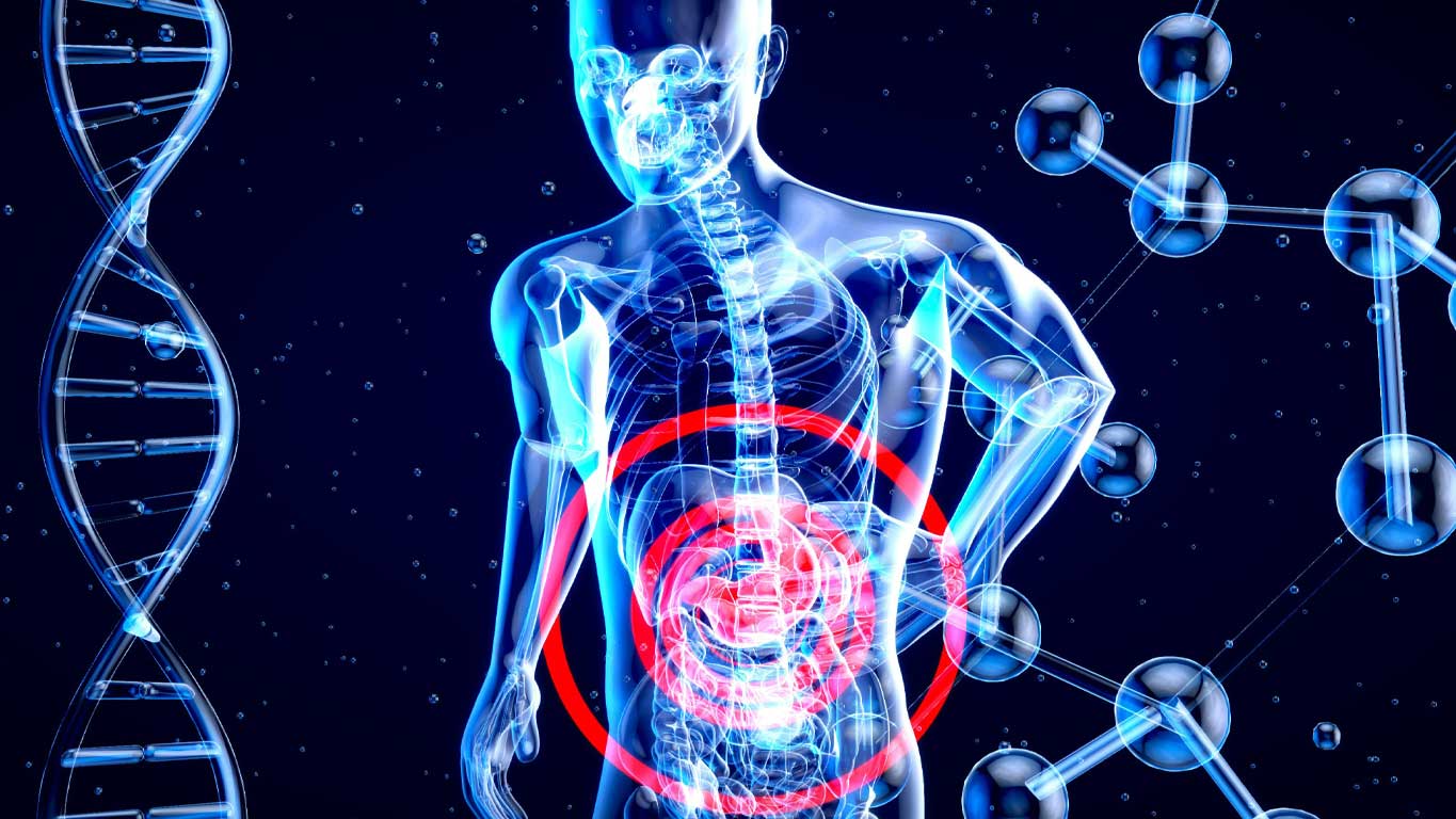 Read more about the article Health Connection Course – Gut Introduction