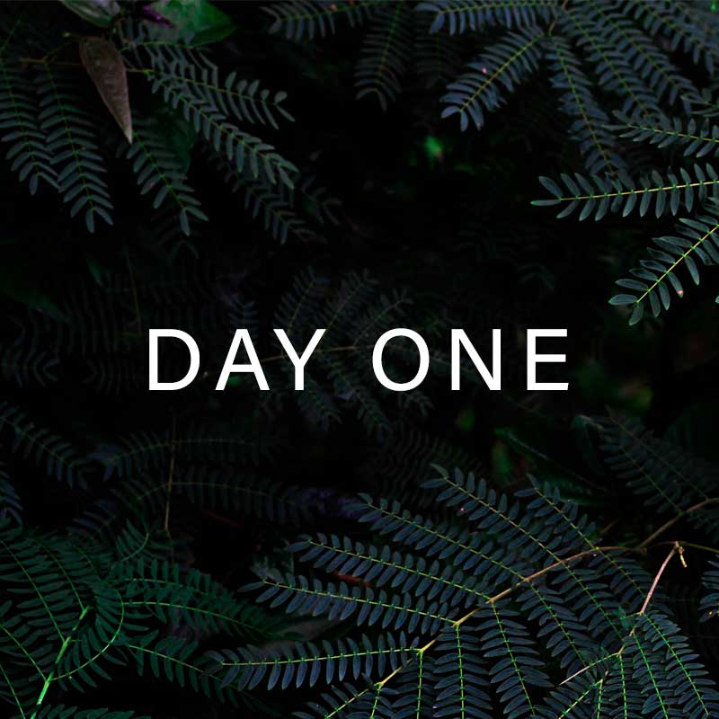 Summer Exclusive Online Training Offers - Day One Flash Offer