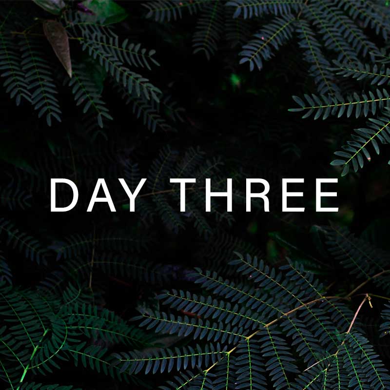 Summer Exclusive Online Training Offers - Day Two Flash Offer