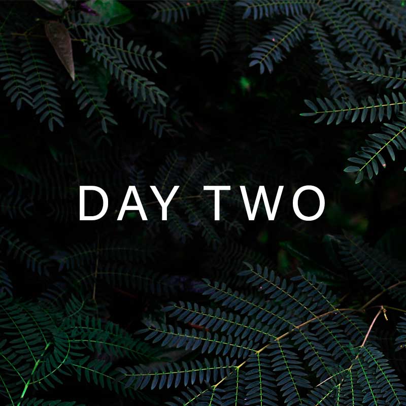 Summer Exclusive Online Training Offers - Day Two Flash Offer