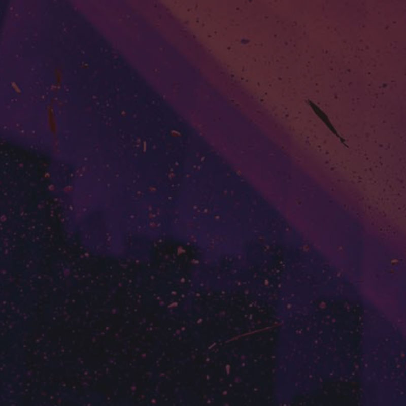 Ofqual Vtct Itec Training Course Product-2025